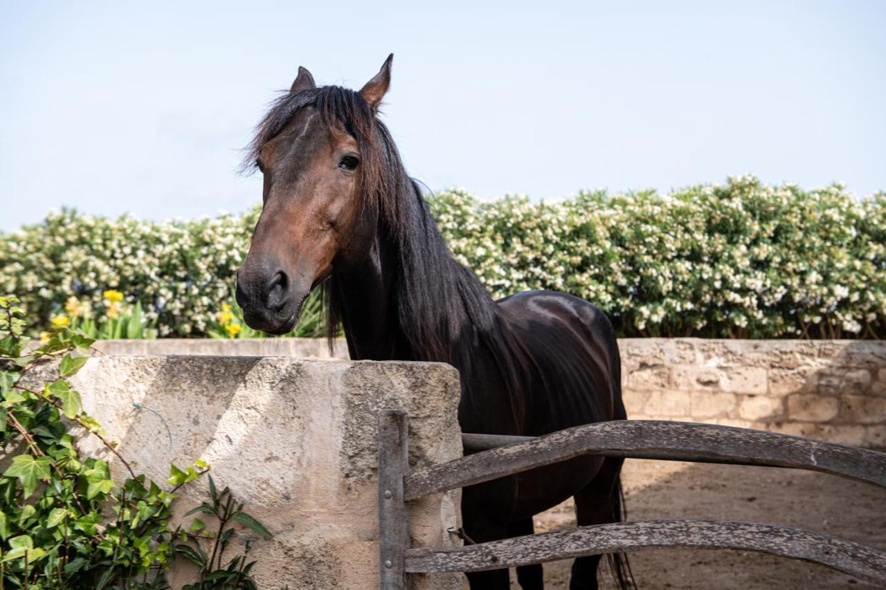 Son Juaneda Vakantieboerderij Ciutadella (Menorca)